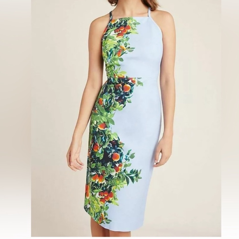 Maeve Citrus Grove Orange Tree Sheath Midi Dress